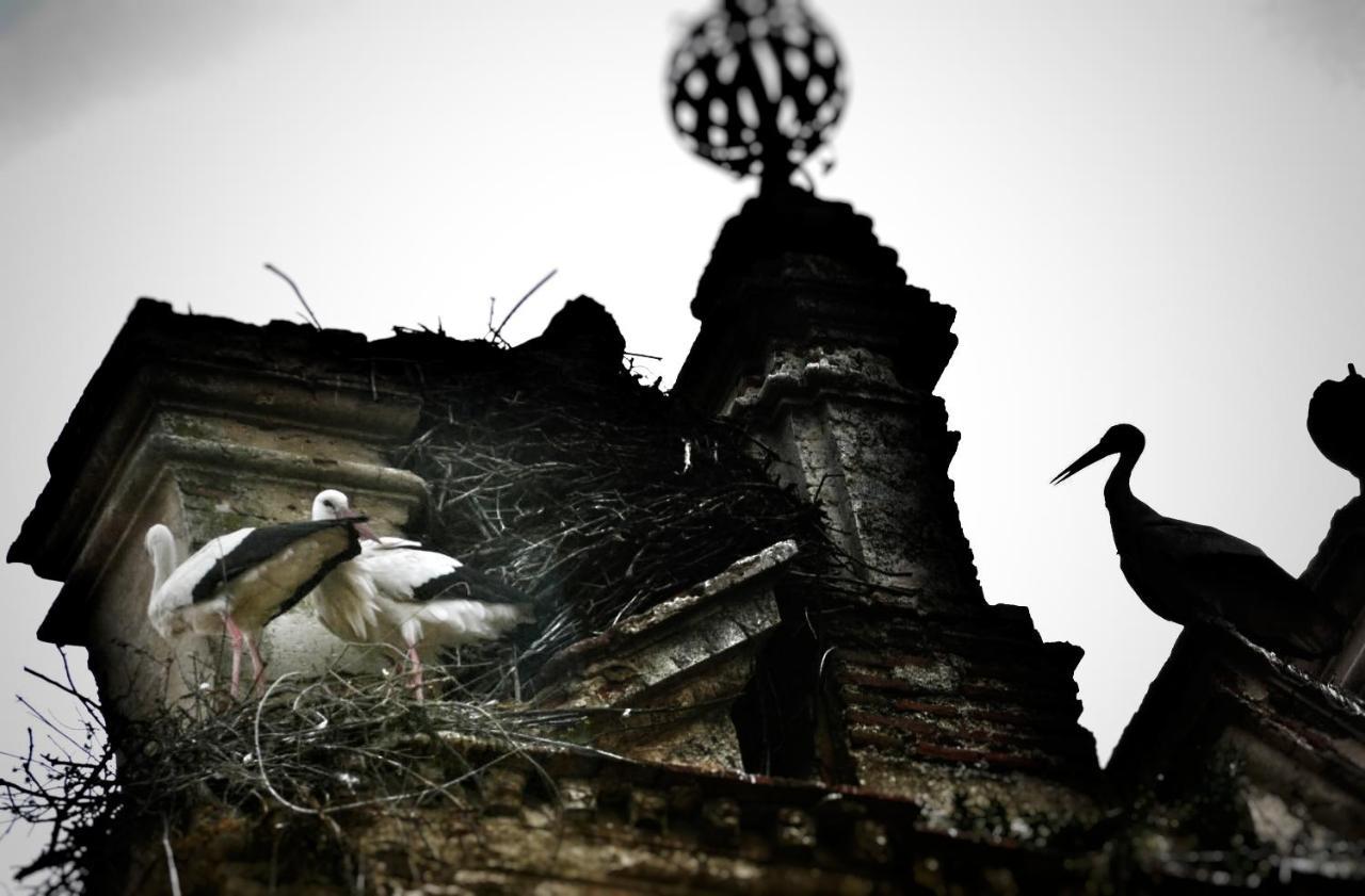 Appartamento Belia A.T. Caces Esterno foto